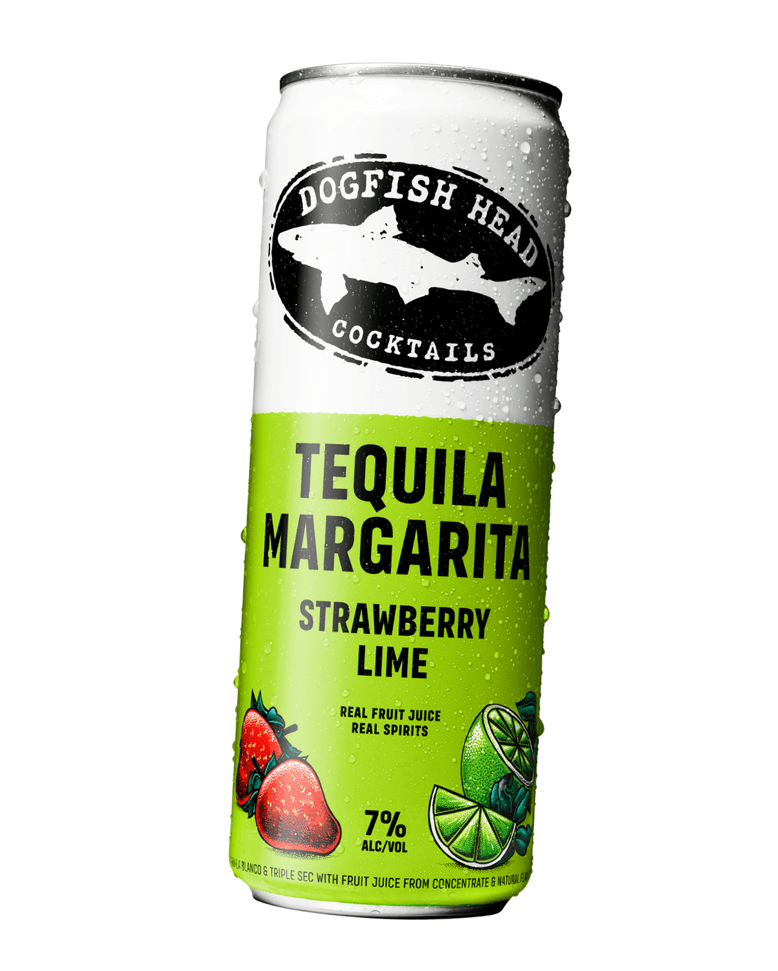 DOGFISH HEAD COCKTAILS - TEQUILA MARGARITA - STRAW LIME 12OZ 4PK